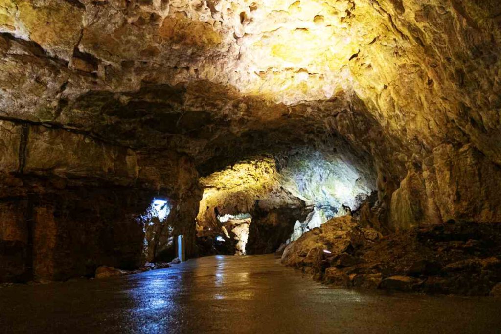 Bilder von Bärenhöhle: Zeichnen lernen mit Spaß!