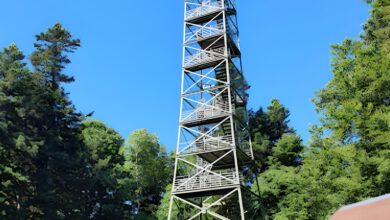 Der Aussichtsturm auf dem Lemberg